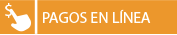 pagoenlinea